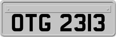 OTG2313