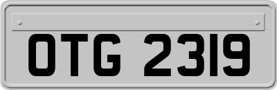 OTG2319