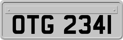 OTG2341