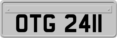 OTG2411