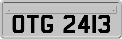 OTG2413