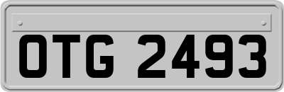 OTG2493