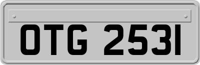 OTG2531