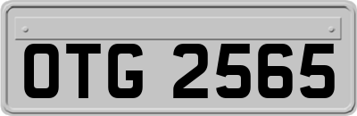 OTG2565