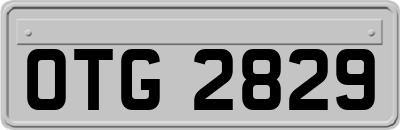 OTG2829