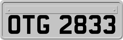 OTG2833