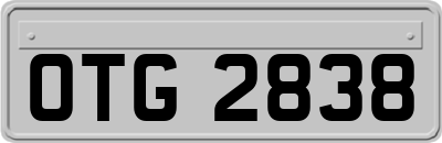 OTG2838