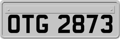 OTG2873