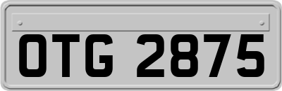 OTG2875