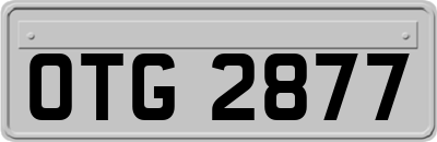 OTG2877