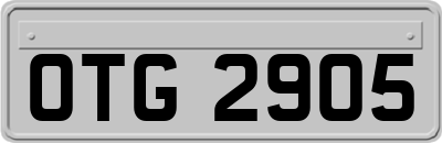 OTG2905