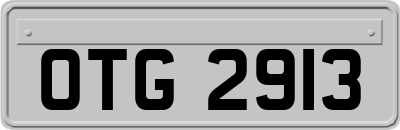 OTG2913
