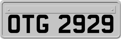 OTG2929