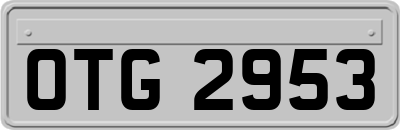 OTG2953