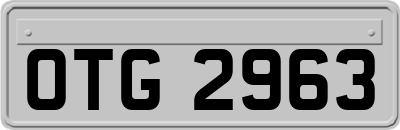 OTG2963