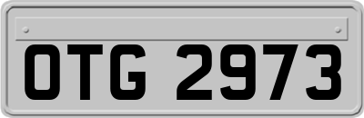 OTG2973