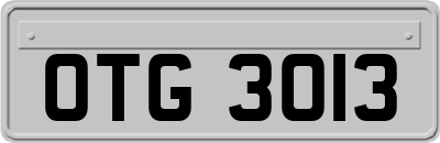 OTG3013