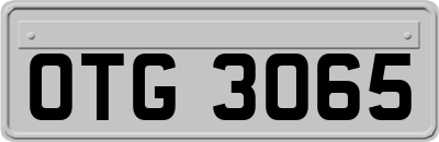 OTG3065