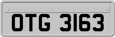 OTG3163