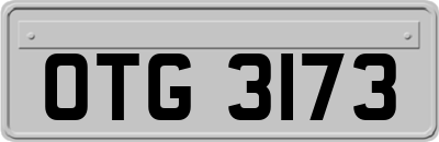 OTG3173