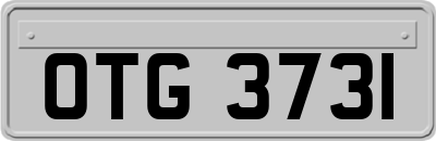 OTG3731