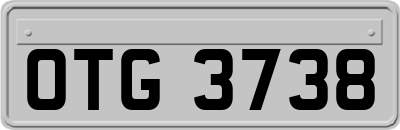 OTG3738