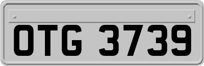 OTG3739