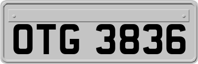OTG3836
