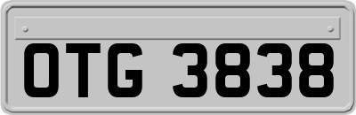 OTG3838