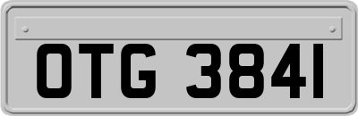OTG3841