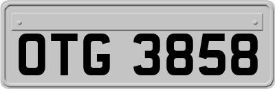 OTG3858