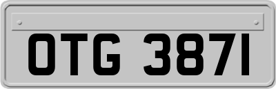 OTG3871