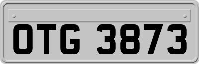 OTG3873