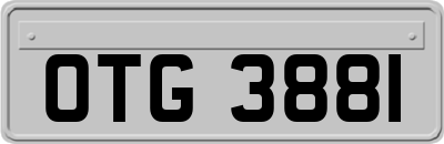 OTG3881