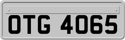 OTG4065