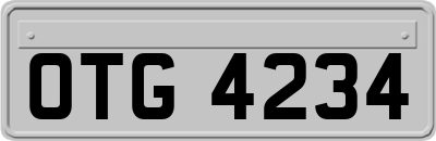 OTG4234