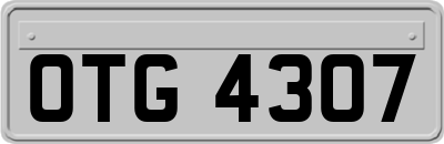 OTG4307