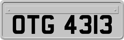 OTG4313