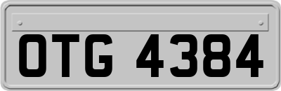 OTG4384