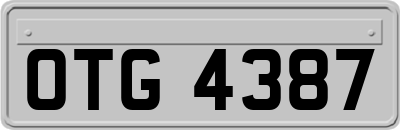 OTG4387