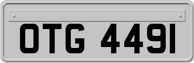 OTG4491