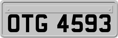 OTG4593