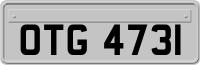 OTG4731