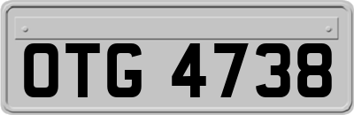 OTG4738