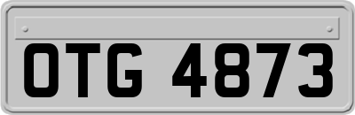 OTG4873