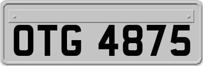 OTG4875