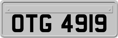 OTG4919