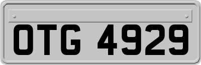 OTG4929
