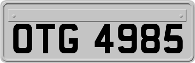 OTG4985