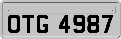 OTG4987